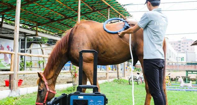 image013001 image013001