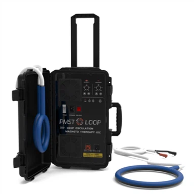 PEMF ELEKTRO MAGNETETERAPI HORSE